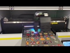 পিপি/পিএফ রিপ সফটওয়্যারের সাথে সর্বোচ্চ রেজোলিউশন ২৯৭*৪২০ মিমি জন্য হাই স্পিড ৩মি২ ইউভি হাইব্রিড প্রিন্টার