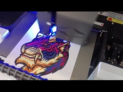 রোল ফিল্ম প্রদর্শন